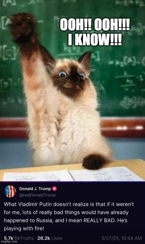 OOH!! OOH!!! I KNOW!!! | image tagged in answer cat | made w/ Imgflip meme maker
