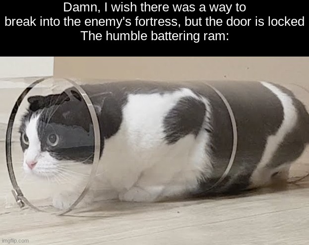 Damn, I wish there was a way to break into the enemy's fortress, but the door is locked
The humble battering ram: | made w/ Imgflip meme maker