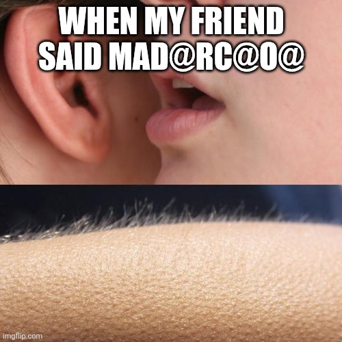Whisper and Goosebumps | WHEN MY FRIEND SAID MAD@RC@O@ | image tagged in whisper and goosebumps | made w/ Imgflip meme maker