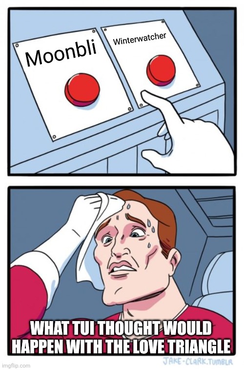 Two Buttons | Winterwatcher; Moonbli; WHAT TUI THOUGHT WOULD HAPPEN WITH THE LOVE TRIANGLE | image tagged in memes,two buttons | made w/ Imgflip meme maker