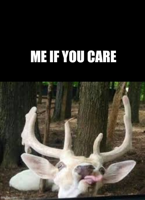 yuh | ME IF YOU CARE | image tagged in black rectangle | made w/ Imgflip meme maker