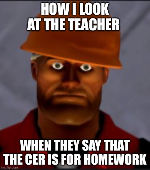 CER | HOW I LOOK AT THE TEACHER; WHEN THEY SAY THAT THE CER IS FOR HOMEWORK | image tagged in engineer traumatized | made w/ Imgflip meme maker