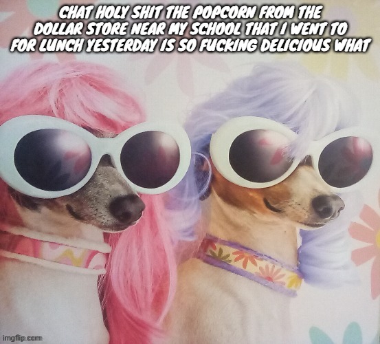 and it was like 2 dollars | CHAT HOLY SHIT THE POPCORN FROM THE DOLLAR STORE NEAR MY SCHOOL THAT I WENT TO FOR LUNCH YESTERDAY IS SO FUCKING DELICIOUS WHAT | image tagged in groovy dawgs | made w/ Imgflip meme maker