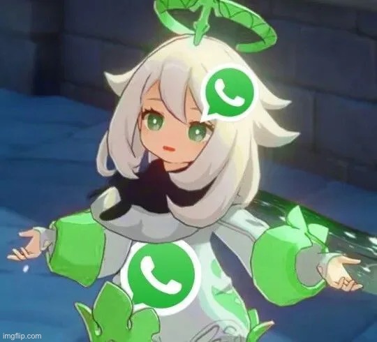 WhatsApp anime girl | image tagged in whatsapp anime girl | made w/ Imgflip meme maker