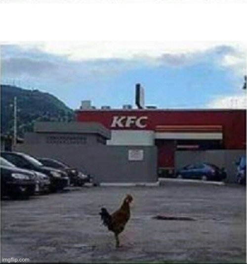 KFC Chicken | image tagged in kfc chicken | made w/ Imgflip meme maker