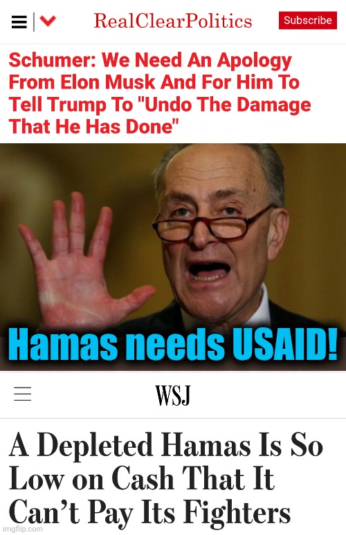 The "damage": the democrats' preferred terrorists go unpaid | Hamas needs USAID! | image tagged in chuck schumer,hamas,doge,elon musk,memes,democrats | made w/ Imgflip meme maker