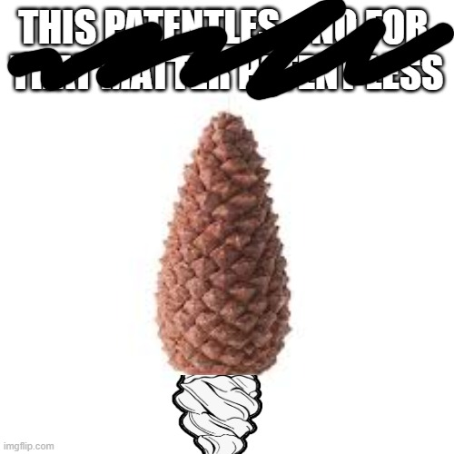unreal skill | THIS PATENTLES... NO FOR 
THAT MATTER PATENT LESS | image tagged in pine cone | made w/ Imgflip meme maker