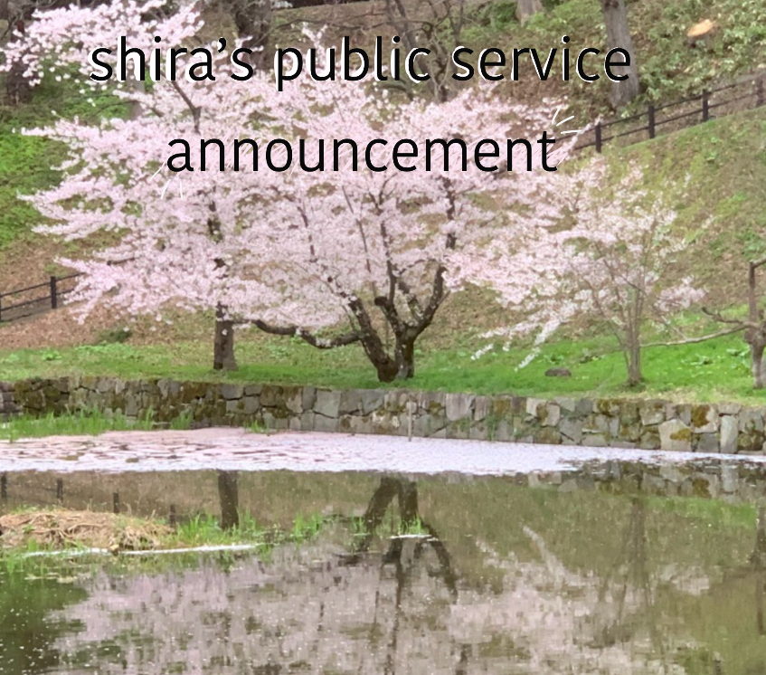High Quality shira’s PSA Blank Meme Template