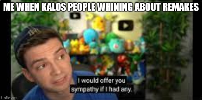 I don't like Kalos | ME WHEN KALOS PEOPLE WHINING ABOUT REMAKES | image tagged in i would offer you sympathy if i had any | made w/ Imgflip meme maker
