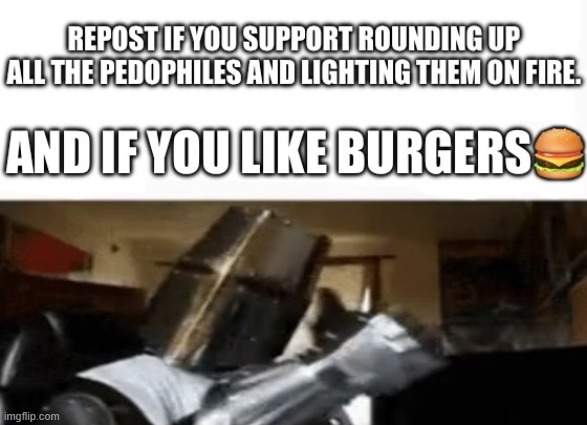 repost for burgher | image tagged in repost for burgher | made w/ Imgflip meme maker