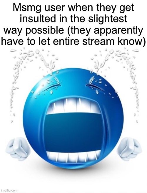 Crying Blue guy | Msmg user when they get insulted in the slightest way possible (they apparently have to let entire stream know) | image tagged in crying blue guy,msmg | made w/ Imgflip meme maker