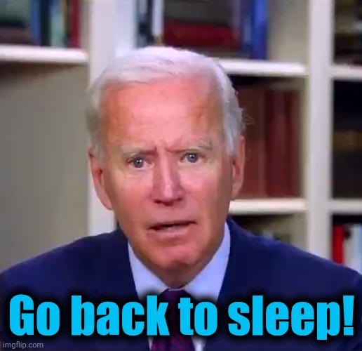 Slow Joe Biden Dementia Face | Go back to sleep! | image tagged in slow joe biden dementia face | made w/ Imgflip meme maker