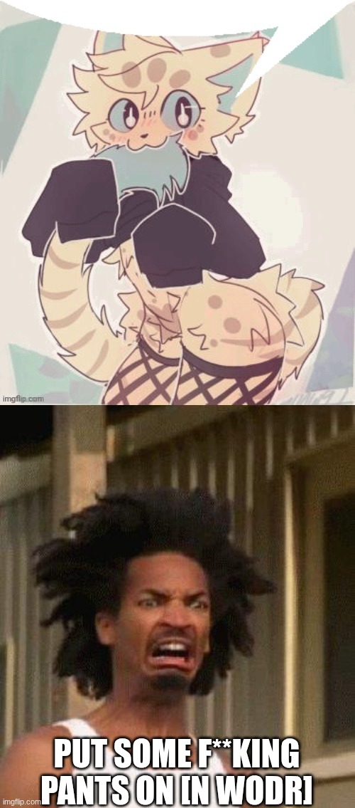 PUT SOME F**KING PANTS ON [N WODR] | image tagged in furry speechbubble,disgusted face | made w/ Imgflip meme maker