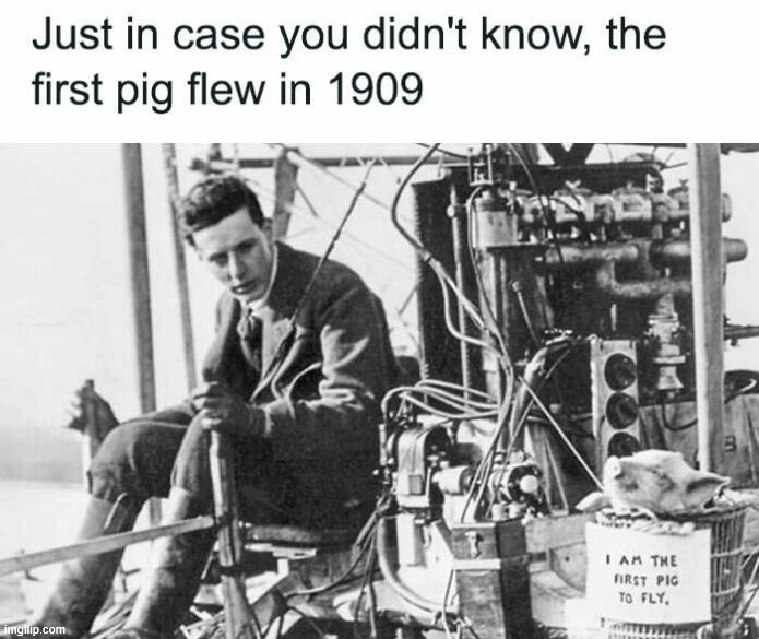 When pigs flew | image tagged in history | made w/ Imgflip meme maker