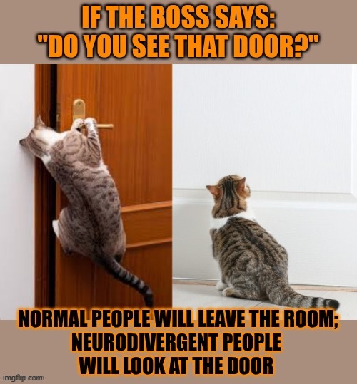 This #lolcat wonders why hoo-mens won't say what they mean | image tagged in neurodivergent,adhd,lolcat,literally | made w/ Imgflip meme maker