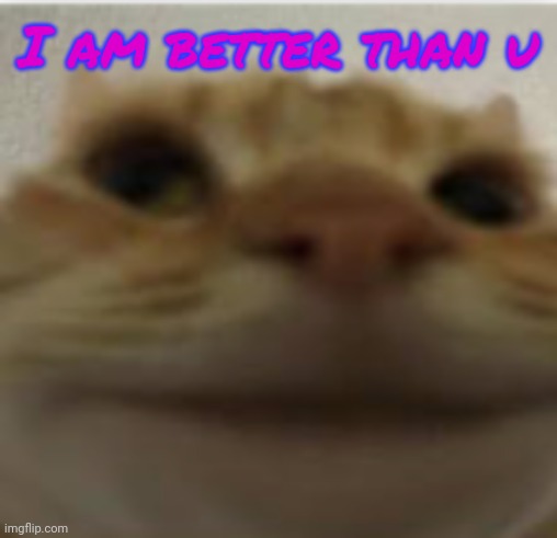 Gonna cry? | I am better than u | image tagged in front-facing camera cat | made w/ Imgflip meme maker