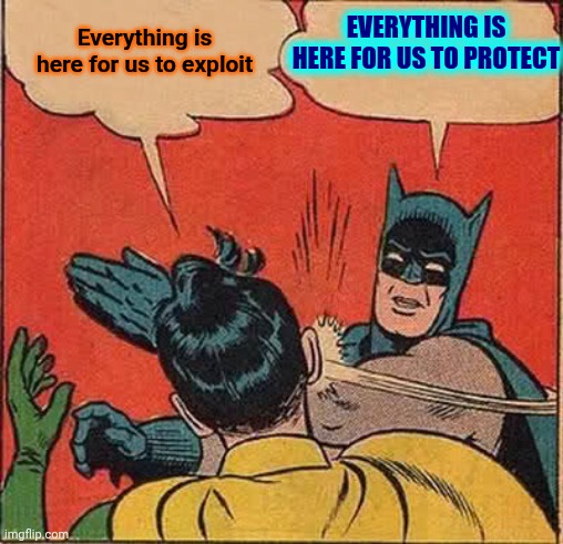 Perspective Is Everything | EVERYTHING IS HERE FOR US TO PROTECT; Everything is here for us to exploit | image tagged in memes,batman slapping robin,perspective,wake up,exploitation,be kind | made w/ Imgflip meme maker
