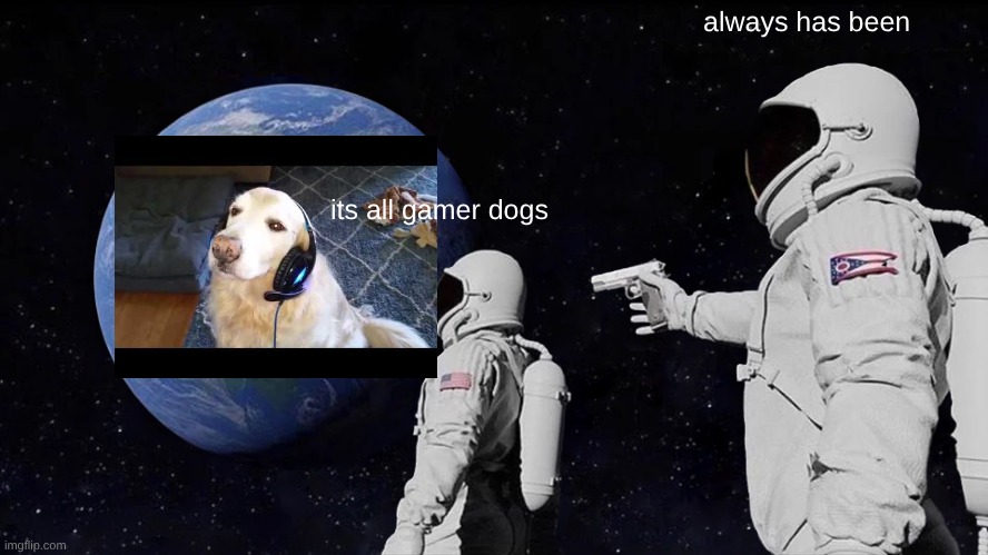 gamer dog | always has been; its all gamer dogs | image tagged in memes,always has been | made w/ Imgflip meme maker
