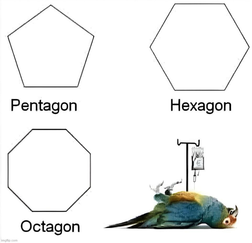 Parrot gone | image tagged in eyeroll | made w/ Imgflip meme maker