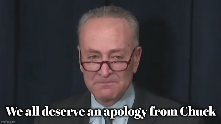 Chuck Schumer Crying | We all deserve an apology from Chuck | image tagged in chuck schumer crying | made w/ Imgflip meme maker