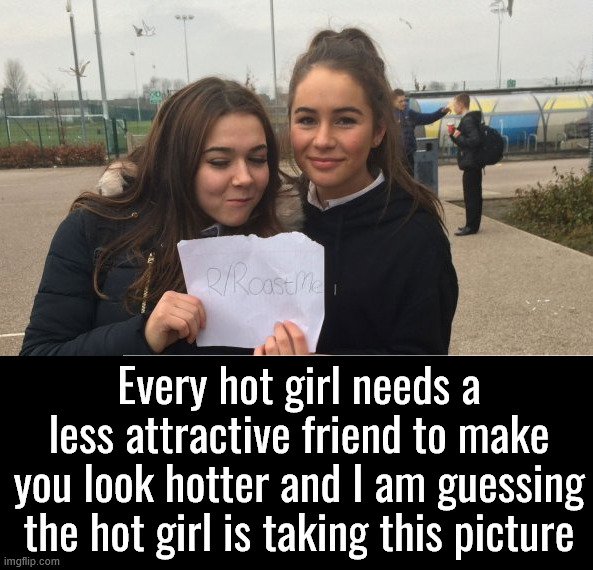 Attraction | Every hot girl needs a less attractive friend to make you look hotter and I am guessing the hot girl is taking this picture | image tagged in insults | made w/ Imgflip meme maker