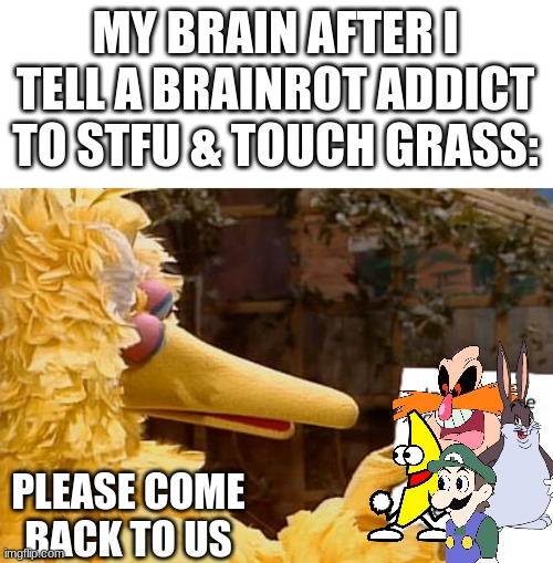 Please come Back to us, Pingas, Weegee, Peanut Butter Jelly Time, Big Chungus | MY BRAIN AFTER I TELL A BRAINROT ADDICT TO STFU & TOUCH GRASS:; PLEASE COME BACK TO US | image tagged in big bird misses who,big chungus,pingas,weegee,peanut butter jelly time | made w/ Imgflip meme maker