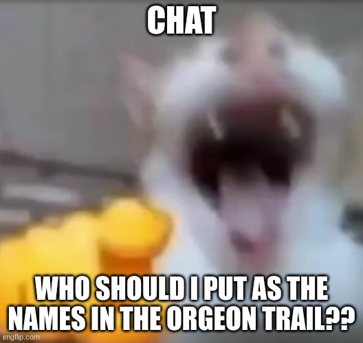 ideas people | CHAT; WHO SHOULD I PUT AS THE NAMES IN THE ORGEON TRAIL?? | image tagged in cat pointing and laughing | made w/ Imgflip meme maker