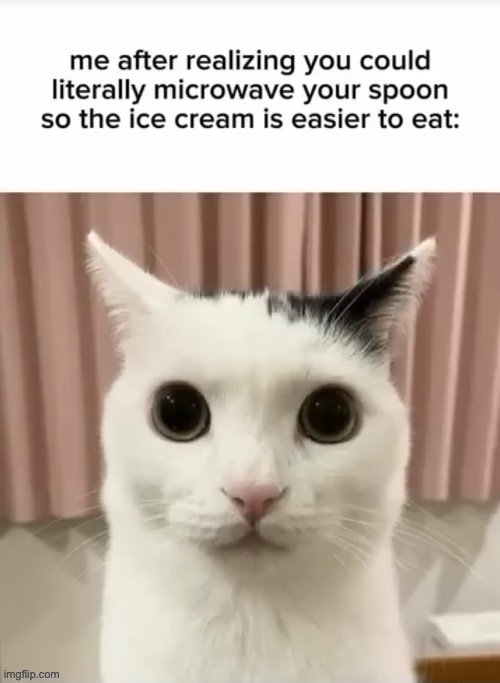 image tagged in spoon | made w/ Imgflip meme maker