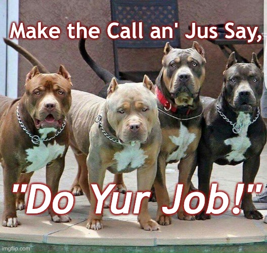 Pitties "Do Yur Job" | Make the Call an' Jus Say, "Do Yur Job!" | image tagged in pitts just say do job,pitties make the call | made w/ Imgflip meme maker