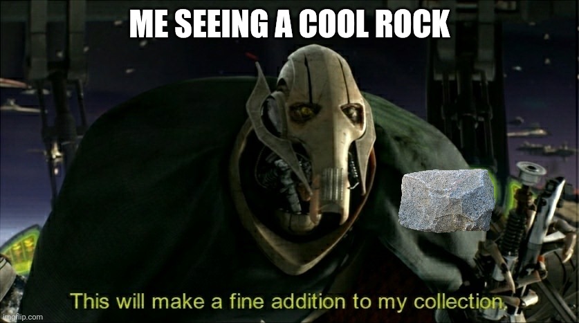 When I rocks | ME SEEING A COOL ROCK | image tagged in this will make a fine addition to my collection | made w/ Imgflip meme maker