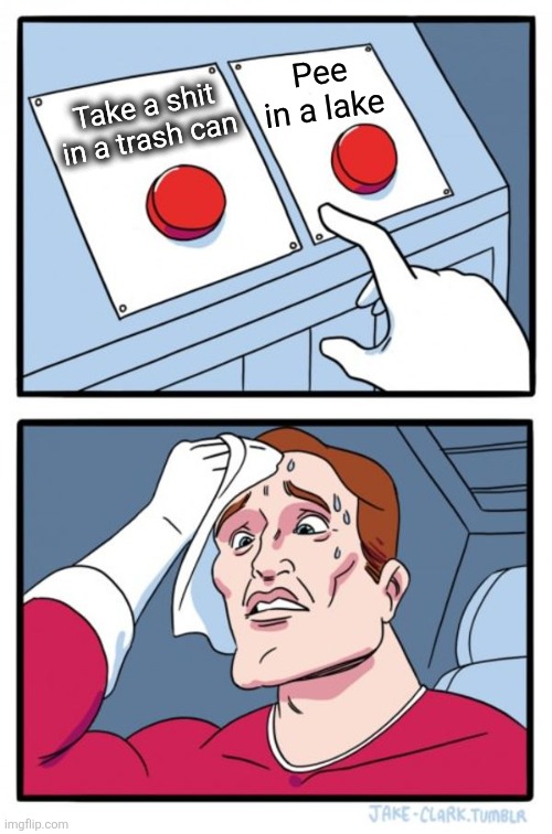 Poop in trash or pee in lake? | Pee in a lake; Take a shit in a trash can | image tagged in memes,two buttons | made w/ Imgflip meme maker