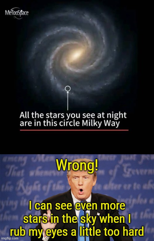 Wrong! I can see even more stars in the sky when I rub my eyes a little too hard | image tagged in donald trump wrong | made w/ Imgflip meme maker