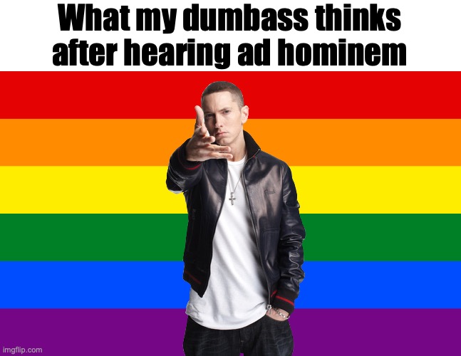 Punz | What my dumbass thinks after hearing ad hominem | image tagged in pride flag,eminem,memes | made w/ Imgflip meme maker