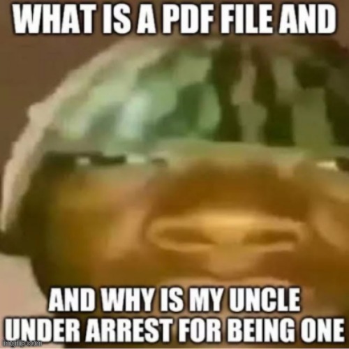 download your memes as PDF | image tagged in what is a pdf file,dark humor | made w/ Imgflip meme maker