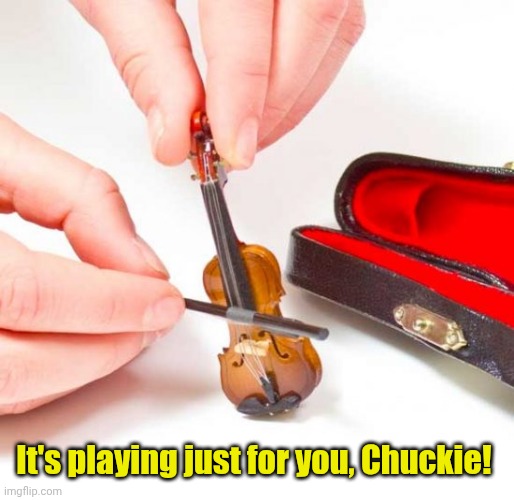 Tiny violin  | It's playing just for you, Chuckie! | image tagged in tiny violin | made w/ Imgflip meme maker