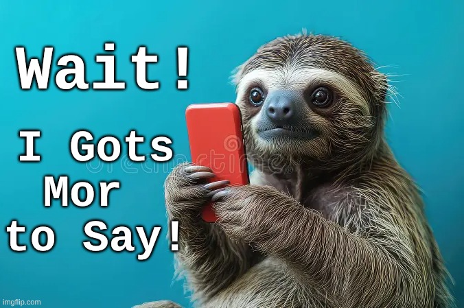 Sloth Mor to Say | Wait! I Gots Mor 
to Say! | image tagged in sloth wait,sloth mor to say | made w/ Imgflip meme maker
