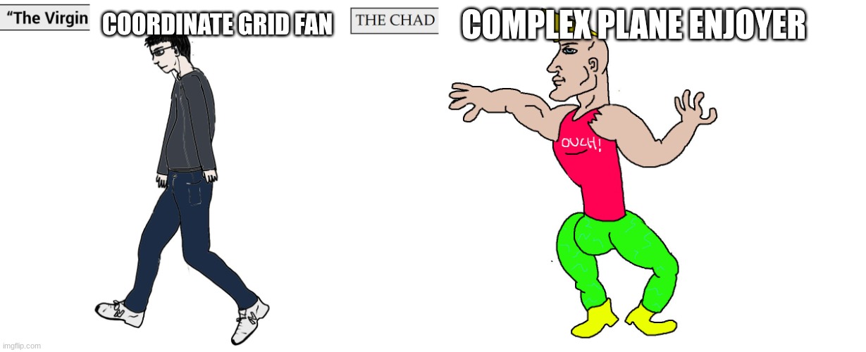 Virgin and Chad | COORDINATE GRID FAN; COMPLEX PLANE ENJOYER | image tagged in virgin and chad | made w/ Imgflip meme maker