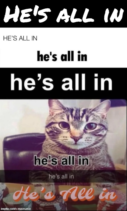 He's all in | He's all in | image tagged in hes all in | made w/ Imgflip meme maker
