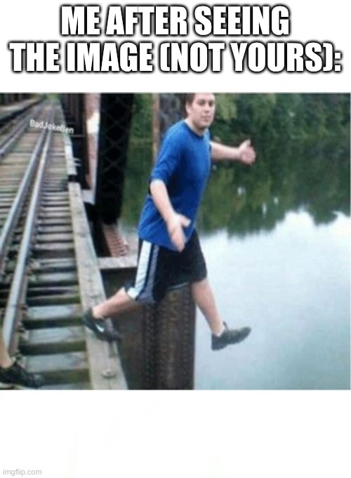 If your friends jumped off a bridge | ME AFTER SEEING THE IMAGE (NOT YOURS): | image tagged in if your friends jumped off a bridge | made w/ Imgflip meme maker