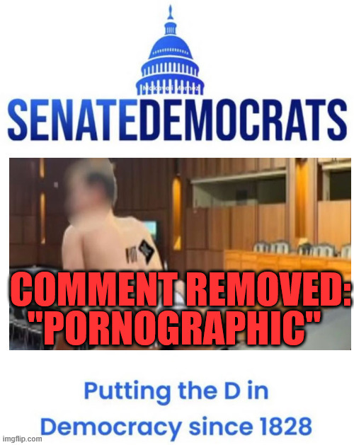 COMMENT REMOVED:; "PORNOGRAPHIC" | made w/ Imgflip meme maker