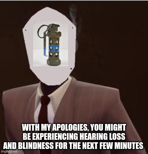 Flash spy-ng grenade | WITH MY APOLOGIES, YOU MIGHT BE EXPERIENCING HEARING LOSS AND BLINDNESS FOR THE NEXT FEW MINUTES | image tagged in custom spy mask | made w/ Imgflip meme maker