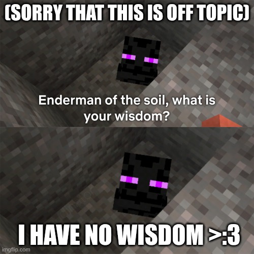 XD | (SORRY THAT THIS IS OFF TOPIC); I HAVE NO WISDOM >:3 | image tagged in enderman of the soil | made w/ Imgflip meme maker
