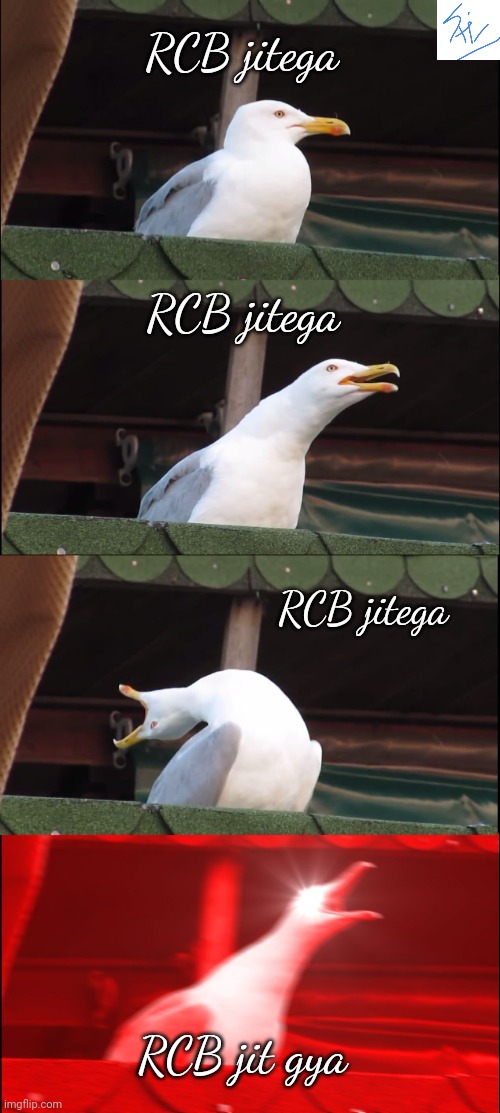 RCB victory | RCB jitega; RCB jitega; RCB jitega; RCB jit gya | image tagged in memes,inhaling seagull,cricket | made w/ Imgflip meme maker