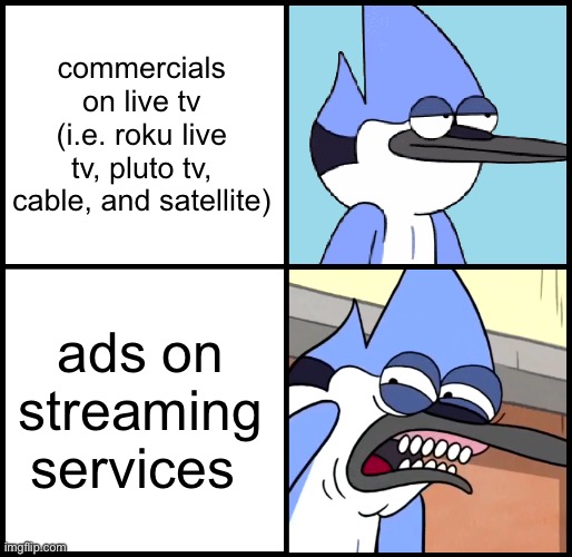 I was born in the wrong decade | commercials on live tv (i.e. roku live tv, pluto tv, cable, and satellite); ads on streaming services | image tagged in mordecai disgusted | made w/ Imgflip meme maker