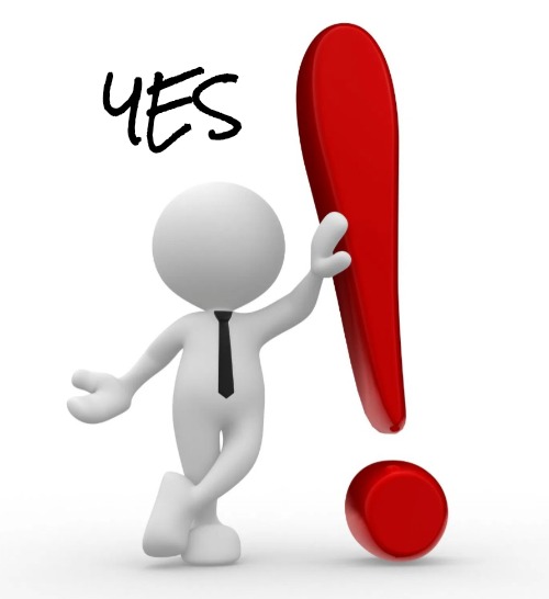 Emoji man with exclamation point | YES | image tagged in emoji man with exclamation point | made w/ Imgflip meme maker