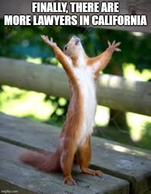Praise Squirrel | FINALLY, THERE ARE MORE LAWYERS IN CALIFORNIA | image tagged in praise squirrel | made w/ Imgflip meme maker