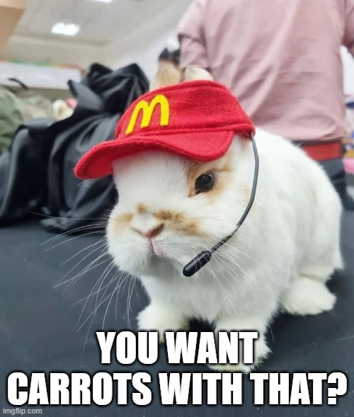 McBunny | YOU WANT CARROTS WITH THAT? | image tagged in bunnies | made w/ Imgflip meme maker