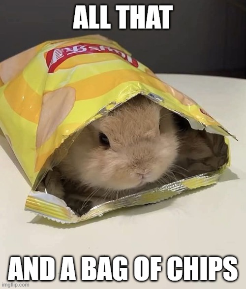 Got Lay'd | ALL THAT; AND A BAG OF CHIPS | image tagged in bunnies | made w/ Imgflip meme maker