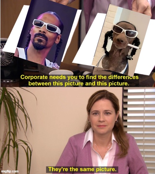Snoop | image tagged in memes,they're the same picture | made w/ Imgflip meme maker