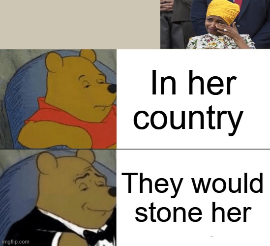 The Truth Bear | In her country; They would stone her | image tagged in memes,tuxedo winnie the pooh | made w/ Imgflip meme maker